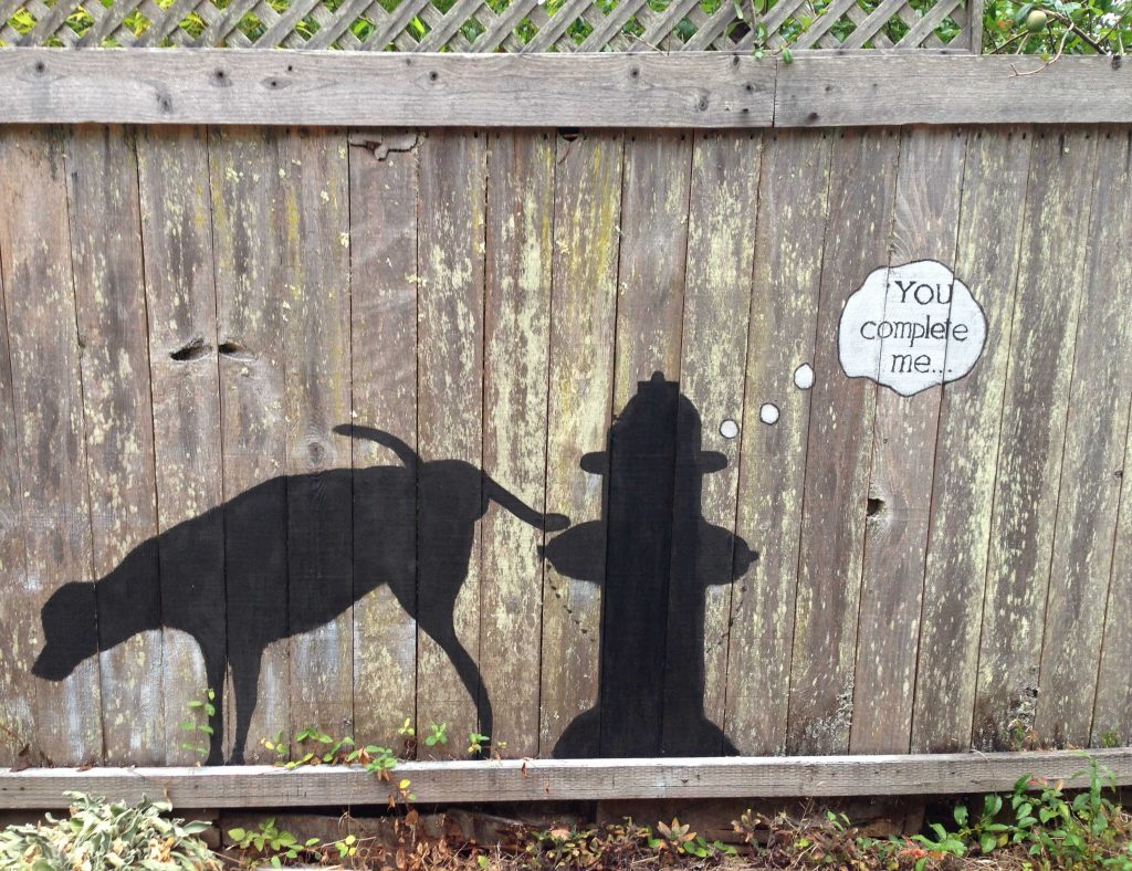 Silhouette of dog lifting its leg on a fire hydrant, painted on the side of a fence. It says "You complete me..."