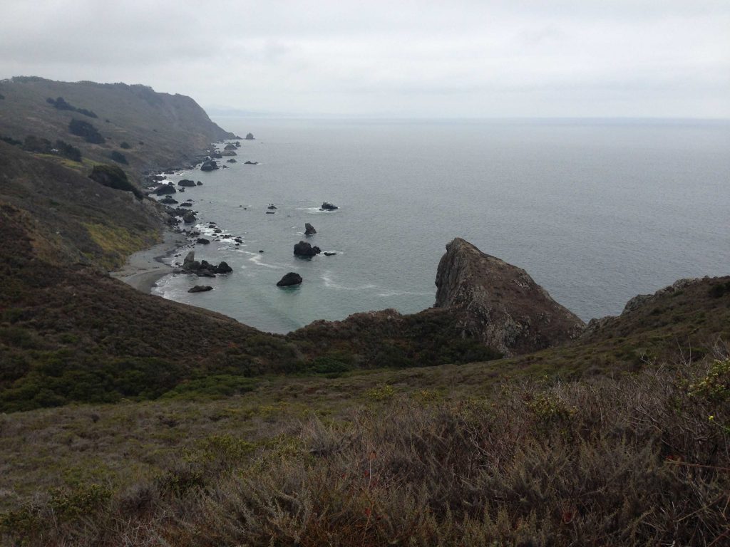 Another view of the beautiful Marin coastline