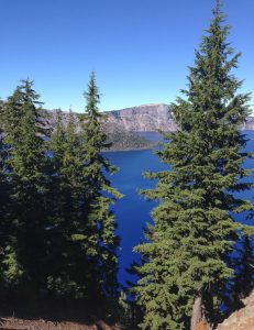 Crater Lake and Wizard Island through the trees