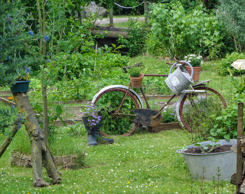 Bicycle art in the middle of a lush backyard